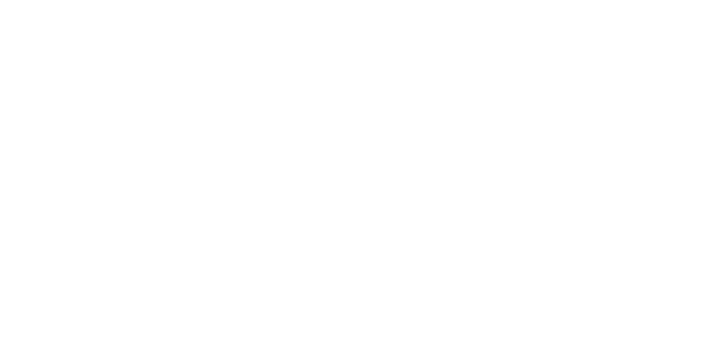 Amari Army